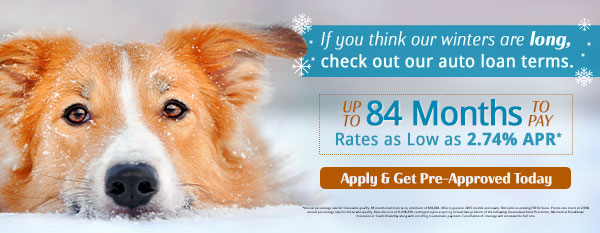 Winter Auto Loan